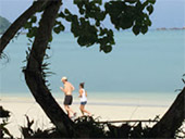 2Top พยาม นาวโอพี บลูสกาย 2Top พยาม นาวโอพี บลูสกาย