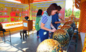 2Top พยาม นาวโอพี บลูสกาย 2Top พยาม นาวโอพี บลูสกาย