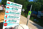 ระนองพยาม3วัน2คืน ระนองพยาม3วัน2คืน