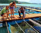 Activities and Leisure: 2 วัน 1 คืน บนเกาะเงียบสงบ