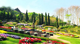All Hills ทัวร์ดอย 5 วัน 4 คืน All Hills ทัวร์ดอย 5 วัน 4 คืน