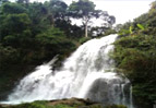 All Hills ทัวร์ดอย 5 วัน 4 คืน All Hills ทัวร์ดอย 5 วัน 4 คืน