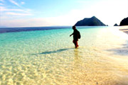 All The Sea 3วัน2คืนเกาะนาวโอพีเกาะพยาม All The Sea 3วัน2คืนเกาะนาวโอพีเกาะพยาม