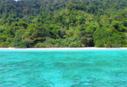 All The Sea 3วัน2คืนเกาะนาวโอพีเกาะพยาม All The Sea 3วัน2คืนเกาะนาวโอพีเกาะพยาม