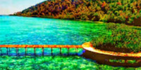 Raja Ampat by JC Tour Raja Ampat by JC Tour