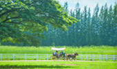 โคราช - กรุงเทพ 3 วัน 2 คืน โคราช - กรุงเทพ 3 วัน 2 คืน