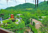 3 วัน 2 คืน จันทบุรี ระยอง 3 วัน 2 คืน จันทบุรี ระยอง