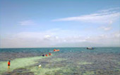 Safari Sea Beach: แก่งกระจาน ประจวบ ชุมพร Safari Sea Beach: แก่งกระจาน ประจวบ ชุมพร