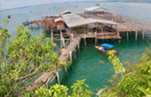 Safari Sea Beach: แก่งกระจาน ประจวบ ชุมพร Safari Sea Beach: แก่งกระจาน ประจวบ ชุมพร