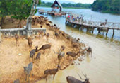 Safari Sea Beach: แก่งกระจาน ประจวบ ชุมพร Safari Sea Beach: แก่งกระจาน ประจวบ ชุมพร