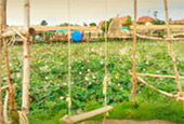 สุพรรณบุรี - กรุงเทพฯ 3วัน2คืน สุพรรณบุรี - กรุงเทพฯ 3วัน2คืน
