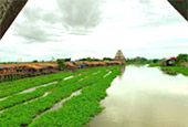 สุพรรณบุรี - กรุงเทพฯ 3วัน2คืน สุพรรณบุรี - กรุงเทพฯ 3วัน2คืน