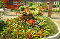 สุพรรณบุรี - กรุงเทพฯ 3วัน2คืน สุพรรณบุรี - กรุงเทพฯ 3วัน2คืน