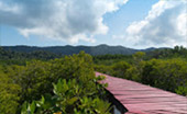 เกาะช้าง (ตราด) กรุงเทพฯ 4วัน3คืน เกาะช้าง (ตราด) กรุงเทพฯ 4วัน3คืน