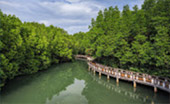 เกาะช้าง (ตราด) กรุงเทพฯ 4วัน3คืน เกาะช้าง (ตราด) กรุงเทพฯ 4วัน3คืน