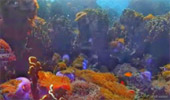 Boulder Beach Island Boulder Beach Island