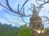 Brain Needs - สุราษ Brain Needs - สุราษ