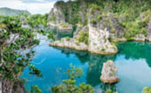 Be in Ecosystem Raja Ampat by JC Tour Be in Ecosystem Raja Ampat by JC Tour