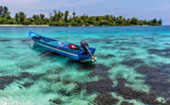 Be in Ecosystem Raja Ampat by JC Tour Be in Ecosystem Raja Ampat by JC Tour