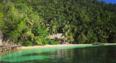 Be in Ecosystem Raja Ampat by JC Tour Be in Ecosystem Raja Ampat by JC Tour