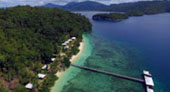 Be in Ecosystem Raja Ampat by JC Tour Be in Ecosystem Raja Ampat by JC Tour