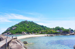 Suratthani Around 4วัน3คืน รอบสุราษฯ Suratthani Around 4วัน3คืน รอบสุราษฯ