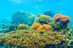 Suratthani Around 4วัน3คืน รอบสุราษฯ Suratthani Around 4วัน3คืน รอบสุราษฯ