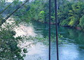 Suratthani Around 4วัน3คืน รอบสุราษฯ Suratthani Around 4วัน3คืน รอบสุราษฯ