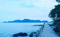 Suratthani Around 4วัน3คืน รอบสุราษฯ Suratthani Around 4วัน3คืน รอบสุราษฯ