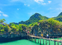 The Best Chumphon Fist The Best Chumphon Fist