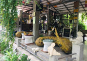 Along the Shore ซิตี้ทัวร์ชุมพร Along the Shore ซิตี้ทัวร์ชุมพร