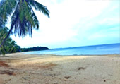 Along the Shore ซิตี้ทัวร์ชุมพร Along the Shore ซิตี้ทัวร์ชุมพร