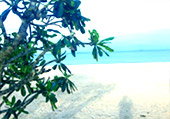 Along the Shore ซิตี้ทัวร์ชุมพร Along the Shore ซิตี้ทัวร์ชุมพร
