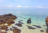 The Deserting 3 เกาะร้าง ไร้ผู้คน ชุมพร The Deserting 3 เกาะร้าง ไร้ผู้คน ชุมพร