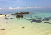 The Deserting 3 เกาะร้าง ไร้ผู้คน ชุมพร The Deserting 3 เกาะร้าง ไร้ผู้คน ชุมพร
