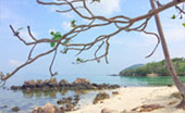 The Deserting 3 เกาะร้าง ไร้ผู้คน ชุมพร The Deserting 3 เกาะร้าง ไร้ผู้คน ชุมพร