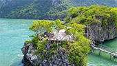 Thai Bay Line: หมู่เกาะเวียง ชุมพร Thai Bay Line: หมู่เกาะเวียง ชุมพร
