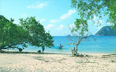 Sea Explore: เกาะแดรกคูล Sea Explore: เกาะแดรกคูล