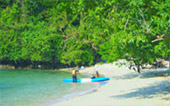Sea Explore: เกาะแดรกคูล Sea Explore: เกาะแดรกคูล