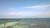 Best all sea: 4 วัน 3 คืน Snorkeling Meaning หมู่เกาะชุมพร หมู่เกาะประจวบ