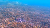 Best all sea: 4 วัน 3 คืน Snorkeling Meaning หมู่เกาะชุมพร หมู่เกาะประจวบ