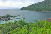2 วัน 1 คืน: เกาะเต่าเรือหางยาว 2 วัน 1 คืน: เกาะเต่าเรือหางยาว