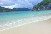 2 วัน 1 คืน: เกาะเต่าเรือหางยาว 2 วัน 1 คืน: เกาะเต่าเรือหางยาว