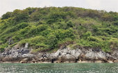 The Limited: 4 เกาะ The Limited: 4 เกาะ