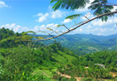 Big Hills of Hope: 7 ดอย Big Hills of Hope: 7 ดอย