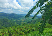 Big Hills of Hope: 7 ดอย Big Hills of Hope: 7 ดอย
