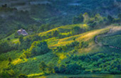 Big Hills of Hope: 7 ดอย Big Hills of Hope: 7 ดอย