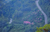 Big Hills of Hope: 7 ดอย Big Hills of Hope: 7 ดอย