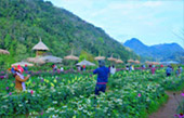 Big Hills of Hope: 7 ดอย Big Hills of Hope: 7 ดอย