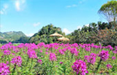 Big Hills of Hope: 7 ดอย Big Hills of Hope: 7 ดอย